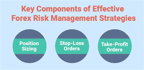 Mastering Forex Risk Management Strategies 2025 Guide