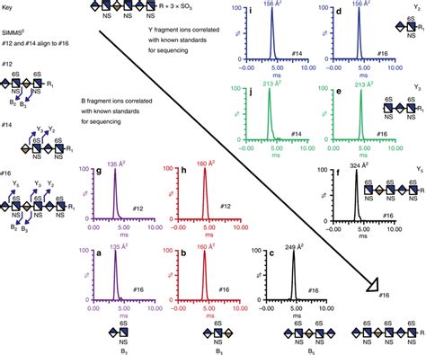 Using the SIMMS² method for sequencing a hexasaccharide Overlaying two