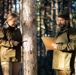 Asefor Ingeniería Forestal Especialistas en la digitalización y