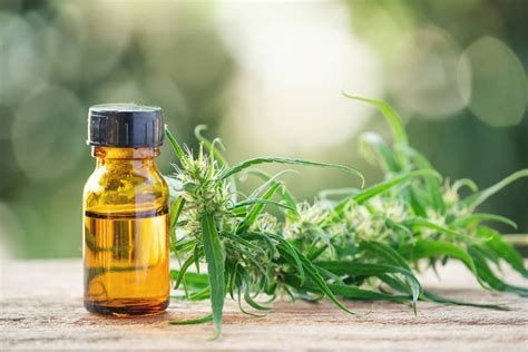 Comment Utiliser La Fleur De CBD Sante Nature