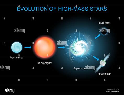 Stellar evolution. Life cycle of massive stars from red supergiant, and ...