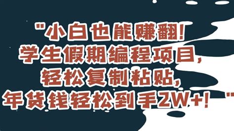 小白也能赚翻！学生假期编程项目，轻松复制粘贴，年货钱轻松到手2w【揭秘】 全民创业网