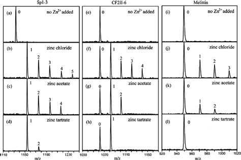 Esi Mass Spectra Of Three Peptides Recorded Using Different Zinc Ion Download Scientific