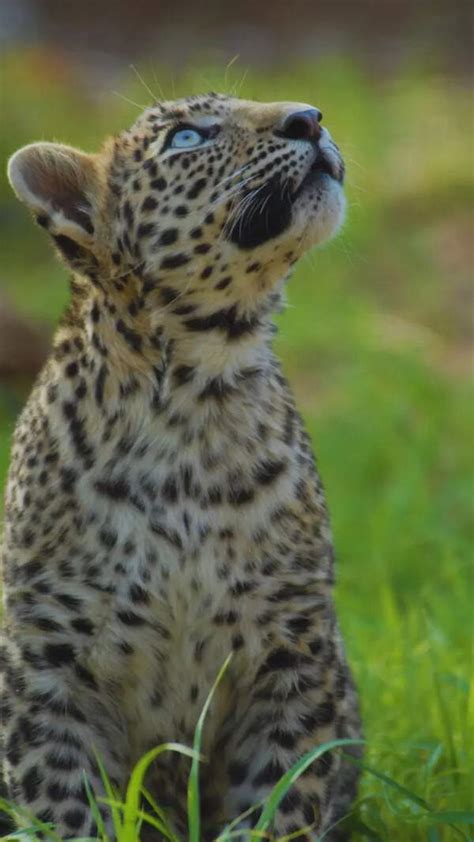 Do You Masturbate While Watching Porn Ask Yourself These Questions