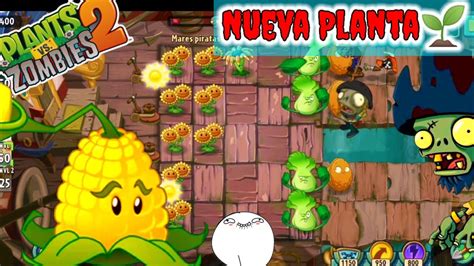 Nueva Planta LANZA MAIZ Mares Piratas Día 1 Plantas VS Zombie2