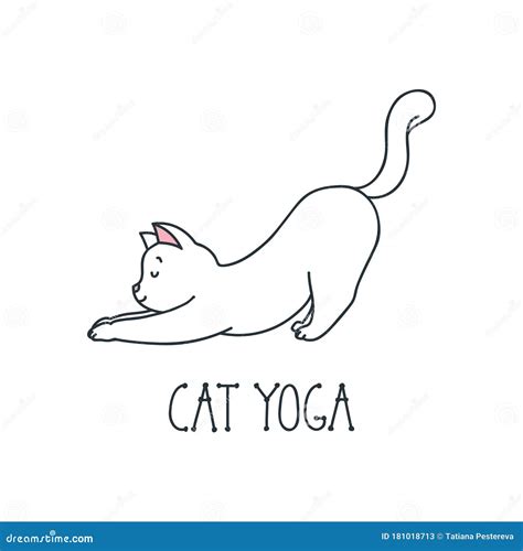 Yoga De Gato Ilustra O Do Vetor Ilustra O De Branco