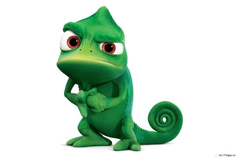 tangled pascal  wallpaper