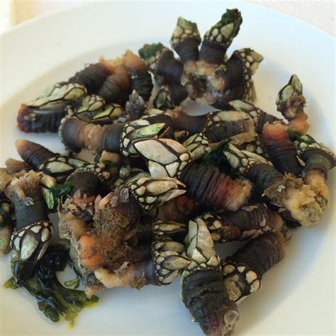 Percebes In Portugal The Day We Ate Barnacles EAT PLAY STAY HAWAII