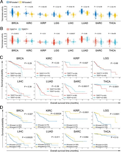 Genomic And Transcriptomic Marker Guided Random Forest Clustering Download Scientific Diagram