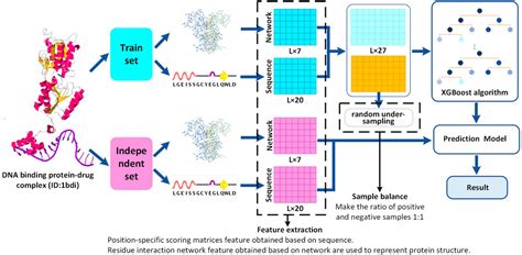 Frontiers Prediction Of Dna Binding Proteindrug Binding Sites Using