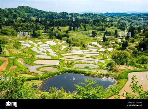 Rice terraces of Hoshitoge Stock Photo - Alamy