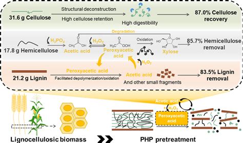 Mechanism Of Self Generated Peroxyacetic Acid In PHP Pretreatment