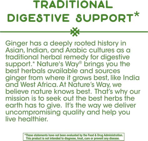 Natures Way Ginger Root 1100 Mg 240 Vegan Capsules For Digestive Health