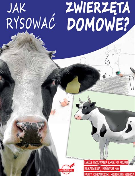 Jak rysować zwierzęta domowe Opracowanie zbiorowe Książka w Empik