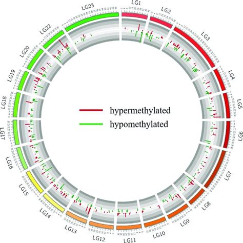 Chromosomal Distribution Of Differentially Methylated Cpg Sites Between