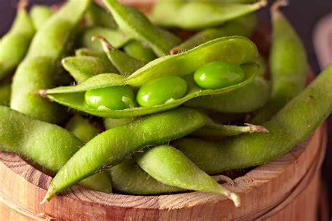 How to Grow Soybeans - BBC Gardeners World Magazine