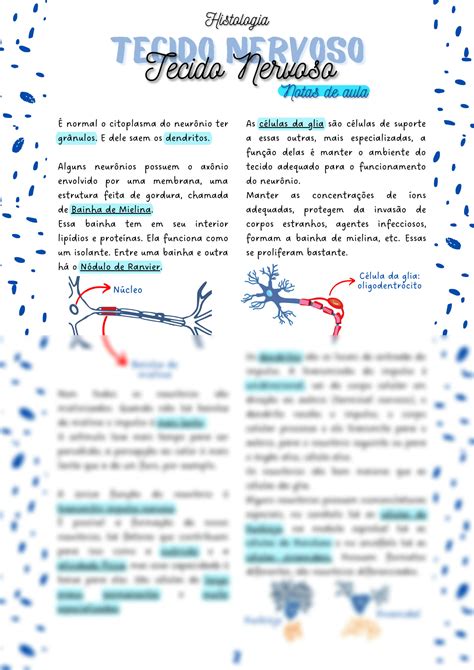 SOLUTION Tecido Nervoso Notas De Aula De Histologia Studypool