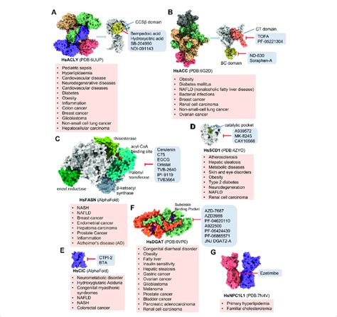 Potential Pharmacological Targets And Related Inhibitors Targeting