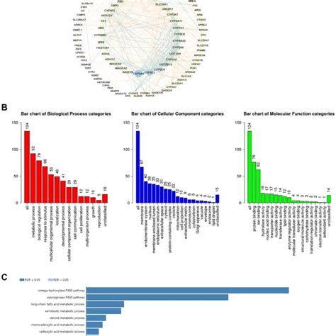 The Functional Enrichment Analysis Of CDC20 Associated Genes In HCC