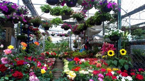 Xochimilco Ofrece En Sus Mercados Una Fiesta De Flores Y Colores