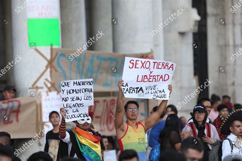 MEMBERS LGBTTI LESBIAN GAY BISEXUAL TRANSSEXUAL Editorial Stock Photo Stock Image Shutterstock