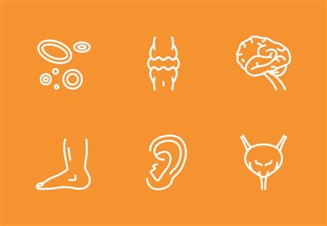 Human Organ Line Icons By Creastale Line Icon Human Organ Human