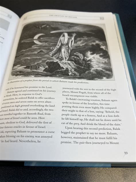 The Biggest Mystery Of The Shestorys Breach: The Burch Twins' Hidden Connection. Image 15