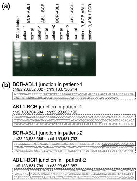 Validation Of Predicted Breakpoints In Patient Samples By Pcr And