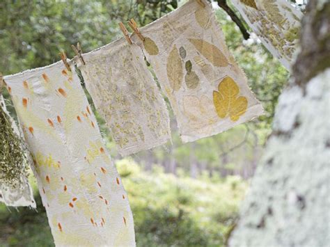 DIY Estampación botánica en tela Técnica ecoprint con flores y plantas