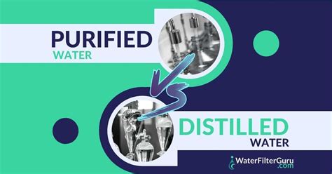 Purified vs Distilled Water: What's the Difference?