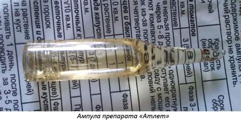 Препарат "Атлет": для рассады: инструкция, отзывы, описание
