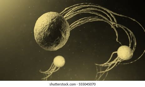 Bacteria Small Particle Tentacles 3d Illustration Stock Illustration ...