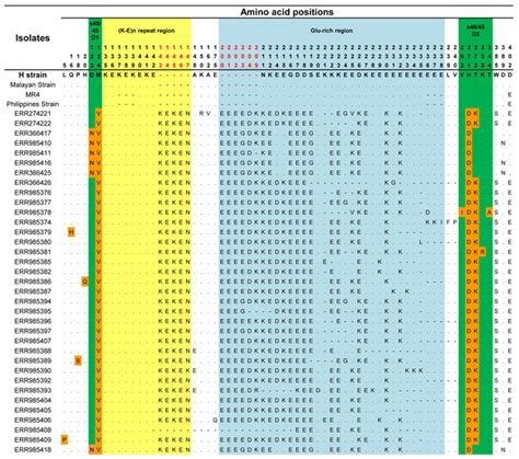 The Plasmodium knowlesi Pk41 surface protein diversity, natural ...