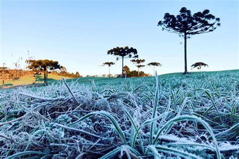 Simepar Prev Inverno Poucas Ondas De Frio Veranicos Nevoeiros E