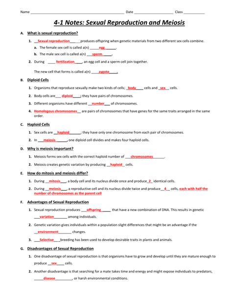 Cell Reproduction Worksheet Answers E Street Light