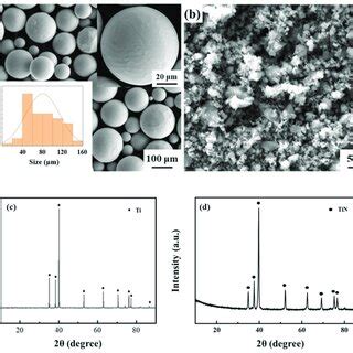 Morphology And Xrd Characterization Of Raw Powders A C Ti Powder