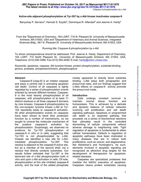 Pdf Active Site Adjacent Phosphorylation At Tyr By C Abl Kinase