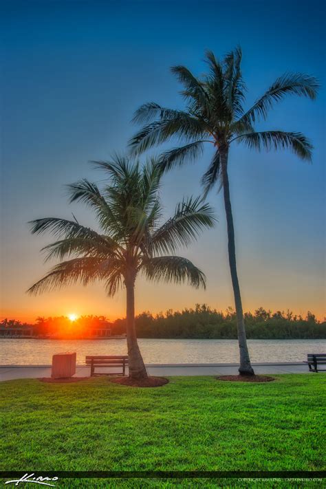 Sunset Red Reef Park Sunset Boca Raton Florida Coconut Trees