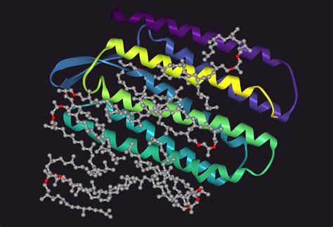 Ribbon Diagrams On Twitter 1QHJ X RAY STRUCTURE OF BACTERIORHODOPSIN