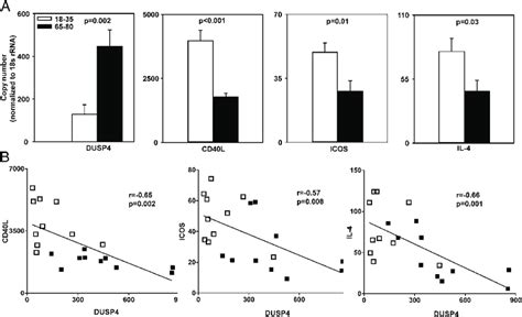 DUSP4 Expression In In Vivo Activated T Cells After Influenza