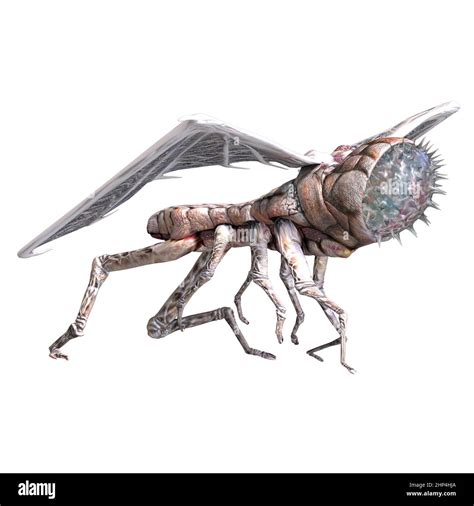 3d Illustration Of A Bright Isolated Horror Fantasy Alien Insect Stock