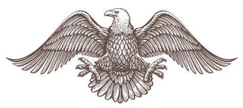 Aquila Pelata Con L Emblema Delle Ali Di Propagazione Simbolo Reale