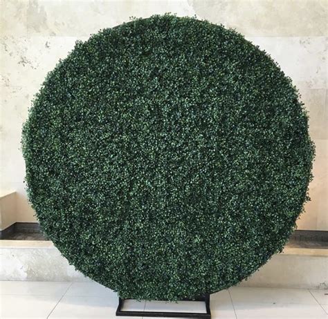 Grass Circle Wall Circle Backdrop