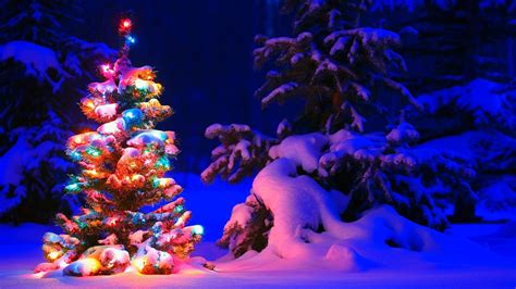 🔥 50 Lighted Christmas Tree Wallpapers Wallpapersafari