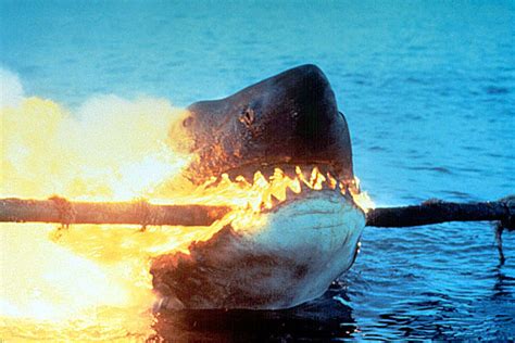 Ranking the best shark movies: Jaws, The Shallows, The Meg and more