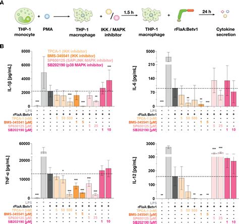 Frontiers A Flagellin Conjugate Protein Induces Dual NLRC4 And NLRP3