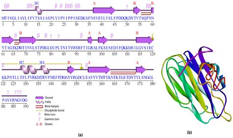 Vaccines Free Full Text Multi Epitope Vaccine Design Against