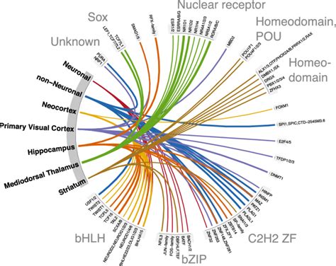 The Top 10 Transcription Factor Binding Motifs Showing The Highest Fold