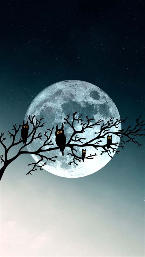 Halloween Moon and Owls - HD iPhone Wallpaper