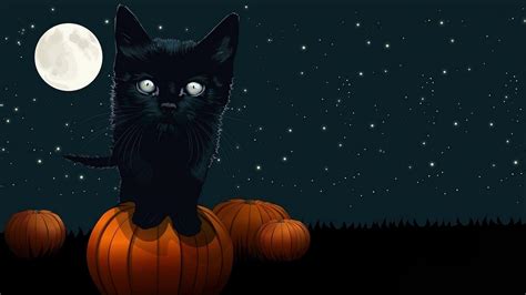 Halloween Cats Wallpapers Wallpaper Cave